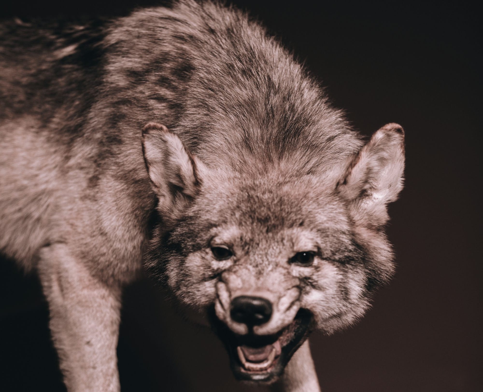 Nancy Kerrigan: Tonya’s Takedown was Her Loss, Too