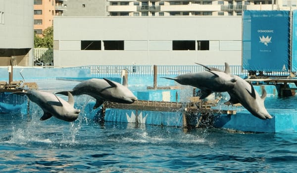 Things I can’t stop thinking about